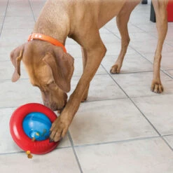KONG Gyro Hundespielzeug Snackspielzeug 7 KONG Gyro Hundespielzeug Snackspielzeug -Hundefutter Welt Verkaufsgeschäft kong gyro hundespielzeug snackspielzeug 1656938192