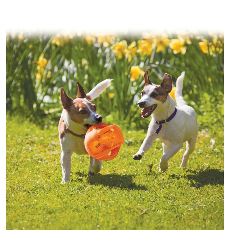 KONG Jumbler Hundespielzeug 4 KONG Jumbler Hundespielzeug – Bild 2