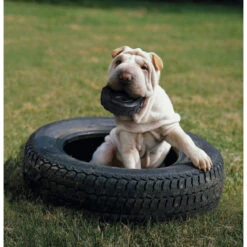 KONG Hundespielzeug Extreme Tires Kaureifen 11 KONG Hundespielzeug Extreme Tires Kaureifen -Hundefutter Welt Verkaufsgeschäft kong traxx kaureifen 1535457563