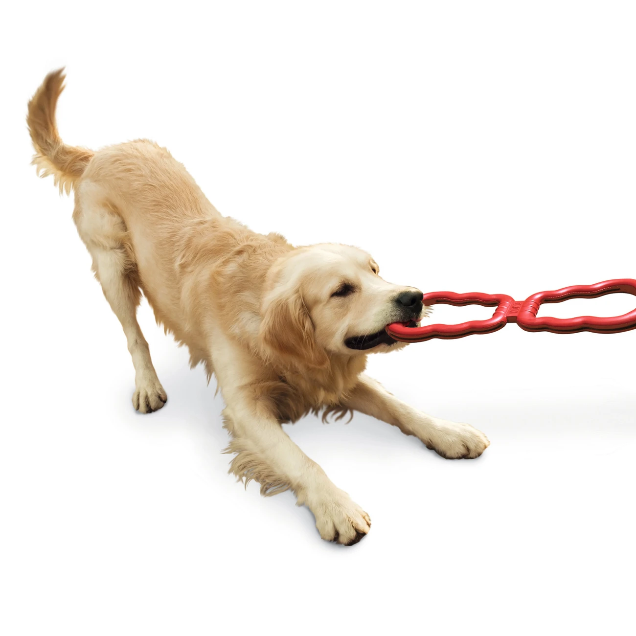 KONG Tug Toy Zerrspielzeug Für Hunde 4 KONG Tug Toy Zerrspielzeug Für Hunde – Bild 2