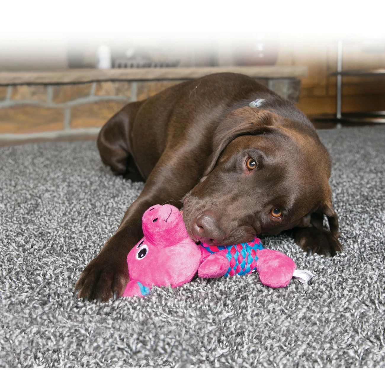 KONG Hundespielzeug Weave Knots 7 KONG Hundespielzeug Weave Knots – Bild 5