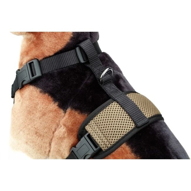 D&D Kühlendes, Wärmendes Hundegeschirr All Season 6 D&D Kühlendes, Wärmendes Hundegeschirr All Season – Bild 4