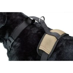 D&D Kühlendes, Wärmendes Hundegeschirr All Season 13 D&D Kühlendes, Wärmendes Hundegeschirr All Season -Hundefutter Welt Verkaufsgeschäft kuehlendes waermendes hundegeschirr all season 1405950385