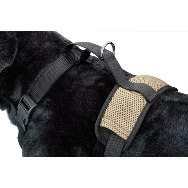 D&D Kühlendes, Wärmendes Hundegeschirr All Season 8 D&D Kühlendes, Wärmendes Hundegeschirr All Season – Bild 6