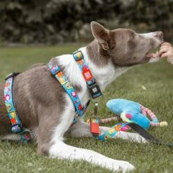 Max & Molly Hunde H-Geschirr Little Monsters -Hundefutter Welt Verkaufsgeschäft max molly hunde h geschirr little monsters 1615279040