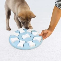 Nina Ottosson Puppy Smart Welpen Intelligenzspielzeug -Hundefutter Welt Verkaufsgeschäft nina ottosson puppy smart welpen intelligenzspielzeug 1658915924