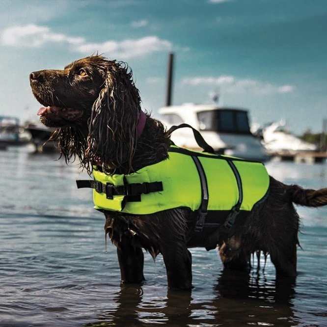 Nobby Hundeschwimmweste Schwimmhilfe 4 Nobby Hundeschwimmweste Schwimmhilfe – Bild 2