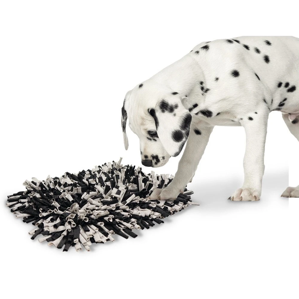 Nobby Schnüffelmatte Für Hunde Und Katzen 4 Nobby Schnüffelmatte Für Hunde Und Katzen – Bild 2