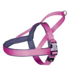 Nobby Norwegergeschirr Hunde Classic Preno Royal -Hundefutter Welt Verkaufsgeschäft norwegergeschirr hunde classic preno royal 1574094214