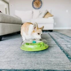 Nina Ottosson Hundespielzeug Wobble Bowl -Hundefutter Welt Verkaufsgeschäft outward hound hundespielzeug wobble bowl 1608642184