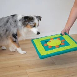 Outward Hound Multi Puzzle Intelligenzspielzeug 13 Outward Hound Multi Puzzle Intelligenzspielzeug -Hundefutter Welt Verkaufsgeschäft outward hound multi puzzle intelligenzspielzeug 1608714331