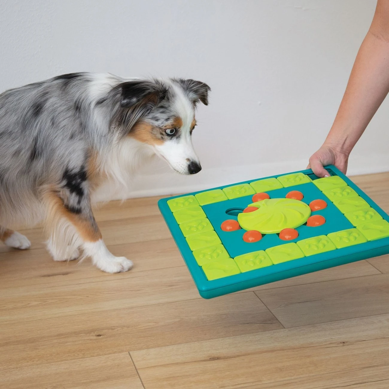 Outward Hound Multi Puzzle Intelligenzspielzeug 8 Outward Hound Multi Puzzle Intelligenzspielzeug – Bild 6
