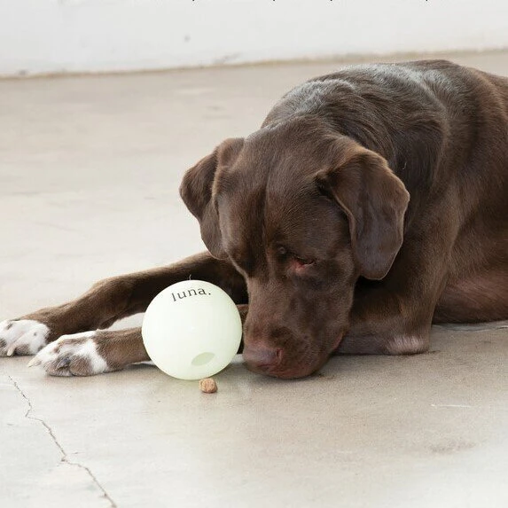 Planet Dog Cosmos Hundespielzeug 4 Planet Dog Cosmos Hundespielzeug – Bild 2