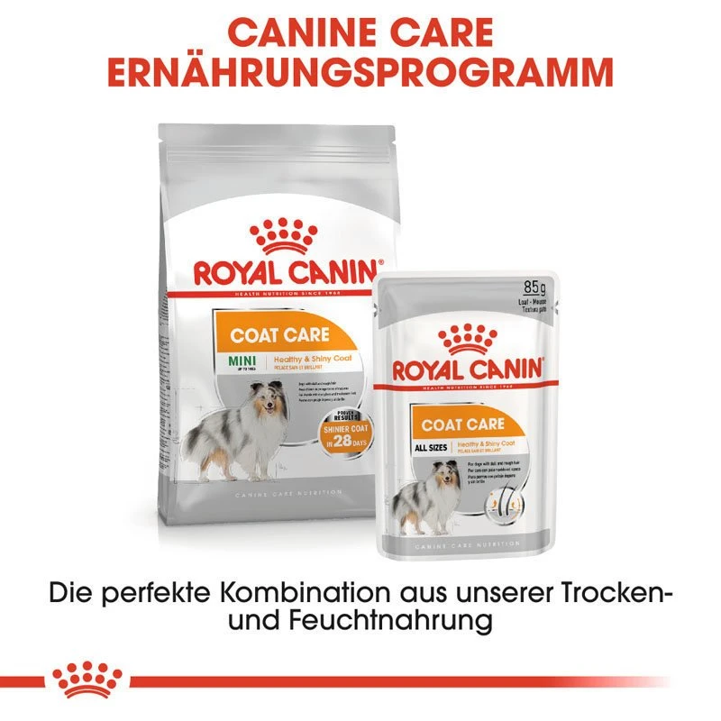 Royal Canin CCN Coat Care Nassfutter Für Glänzendes Fell 10 Royal Canin CCN Coat Care Nassfutter Für Glänzendes Fell – Bild 8