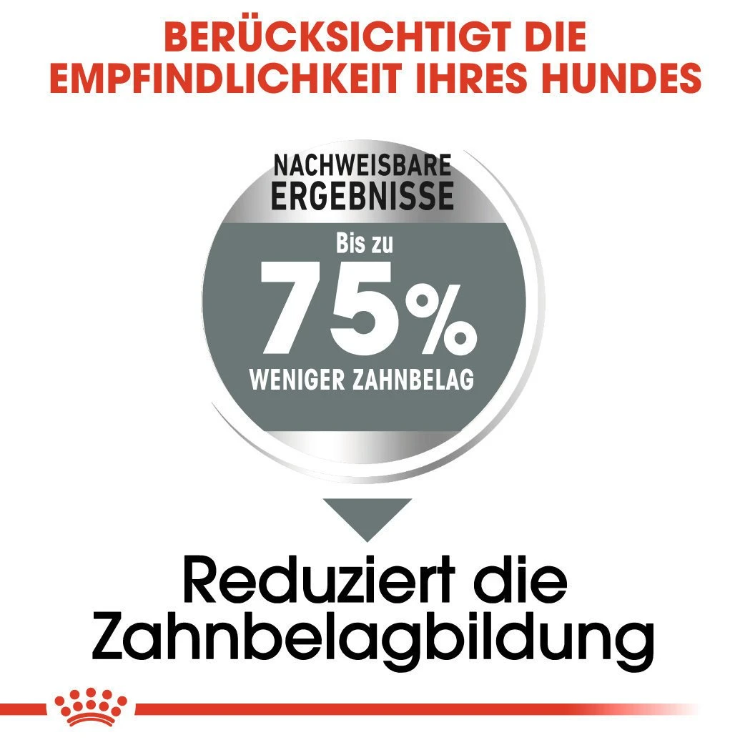 Royal Canin CCN Dental Care Maxi Trockenfutter Für Große Hunde Mit Empfindlichen Zähnen 6 Royal Canin CCN Dental Care Maxi Trockenfutter Für Große Hunde Mit Empfindlichen Zähnen – Bild 4