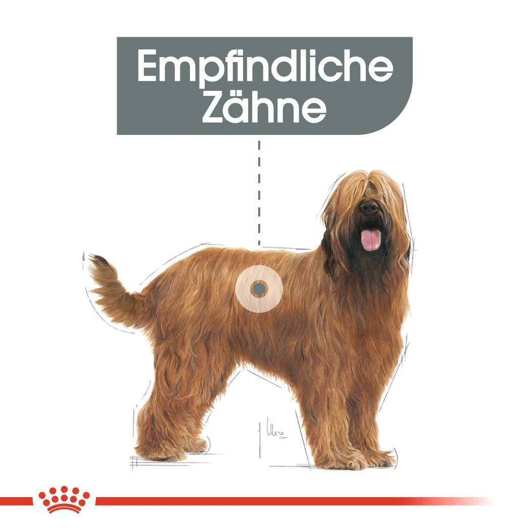 Royal Canin CCN Dental Care Maxi Trockenfutter Für Große Hunde Mit Empfindlichen Zähnen 5 Royal Canin CCN Dental Care Maxi Trockenfutter Für Große Hunde Mit Empfindlichen Zähnen – Bild 3
