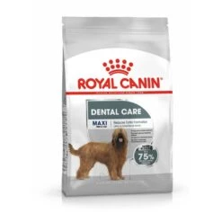 Royal Canin CCN Dental Care Maxi Trockenfutter Für Große Hunde Mit Empfindlichen Zähnen