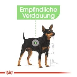 Royal Canin CCN Digestive Care Nassfutter Für Hunde Mit Empfindlicher Verdauung 14 Royal Canin CCN Digestive Care Nassfutter Für Hunde Mit Empfindlicher Verdauung -Hundefutter Welt Verkaufsgeschäft royal canin ccn digestive care nassfutter fuer hunde 1560943881
