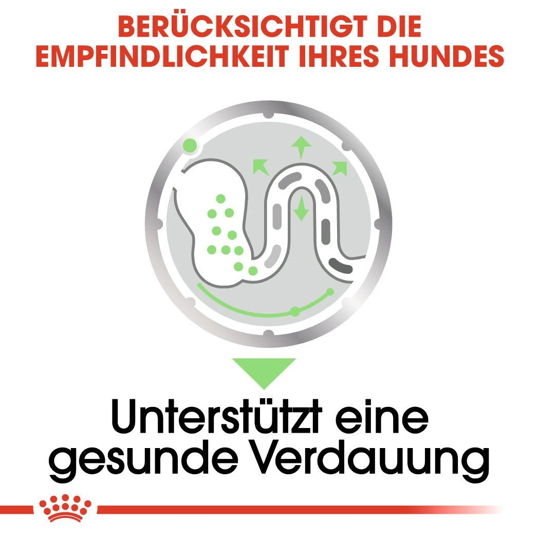 Royal Canin CCN Digestive Care Nassfutter Für Hunde Mit Empfindlicher Verdauung 5 Royal Canin CCN Digestive Care Nassfutter Für Hunde Mit Empfindlicher Verdauung – Bild 3