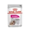 Royal Canin CCN Exigent Nassfutter Für Wählerische Hunde 1 Royal Canin CCN Exigent Nassfutter Für Wählerische Hunde -Hundefutter Welt Verkaufsgeschäft royal canin ccn exigent nassfutter fuer waehlerische hunde 1565865070