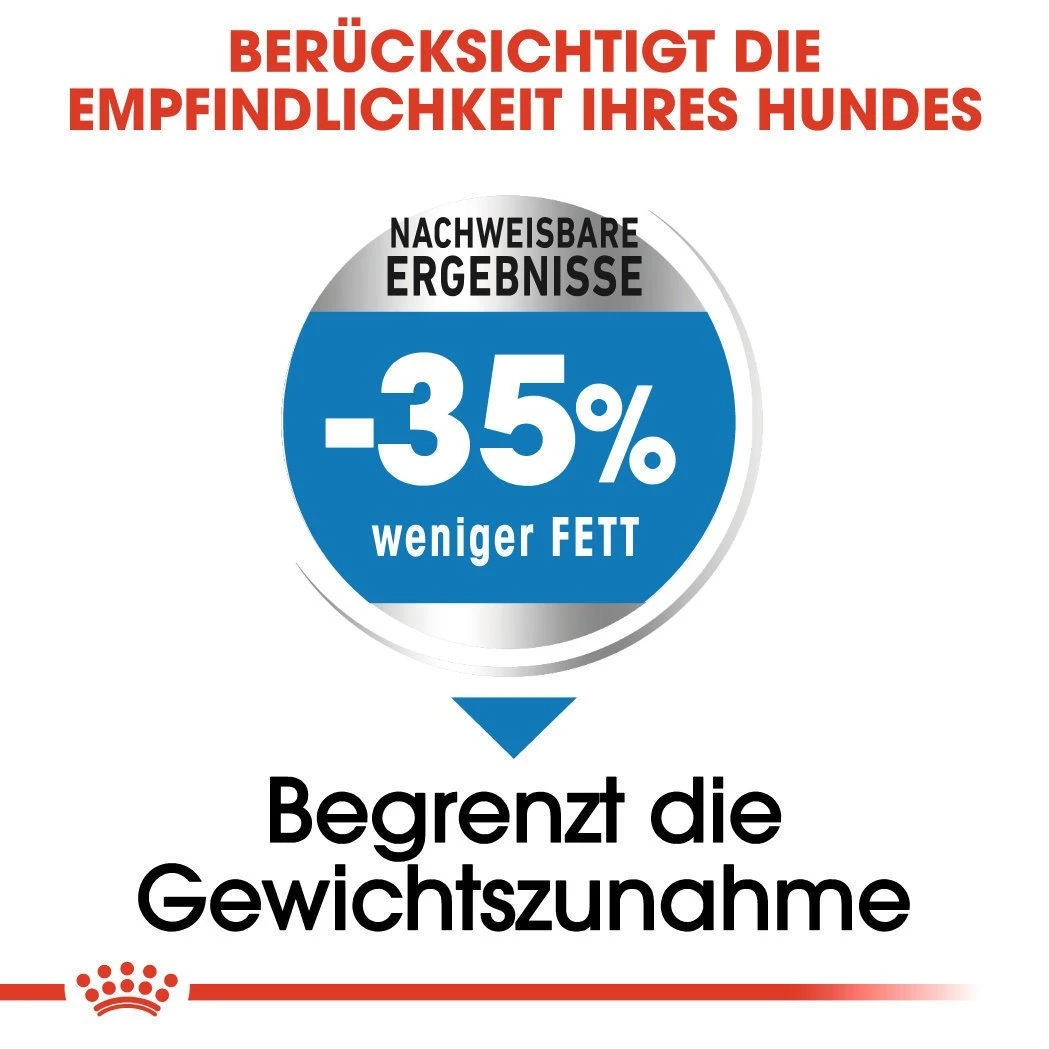 Royal Canin CCN Light Weight Care Maxi Trockenfutter Für Große Hunde Mit Neigung Zu Übergewicht 6 Royal Canin CCN Light Weight Care Maxi Trockenfutter Für Große Hunde Mit Neigung Zu Übergewicht – Bild 4