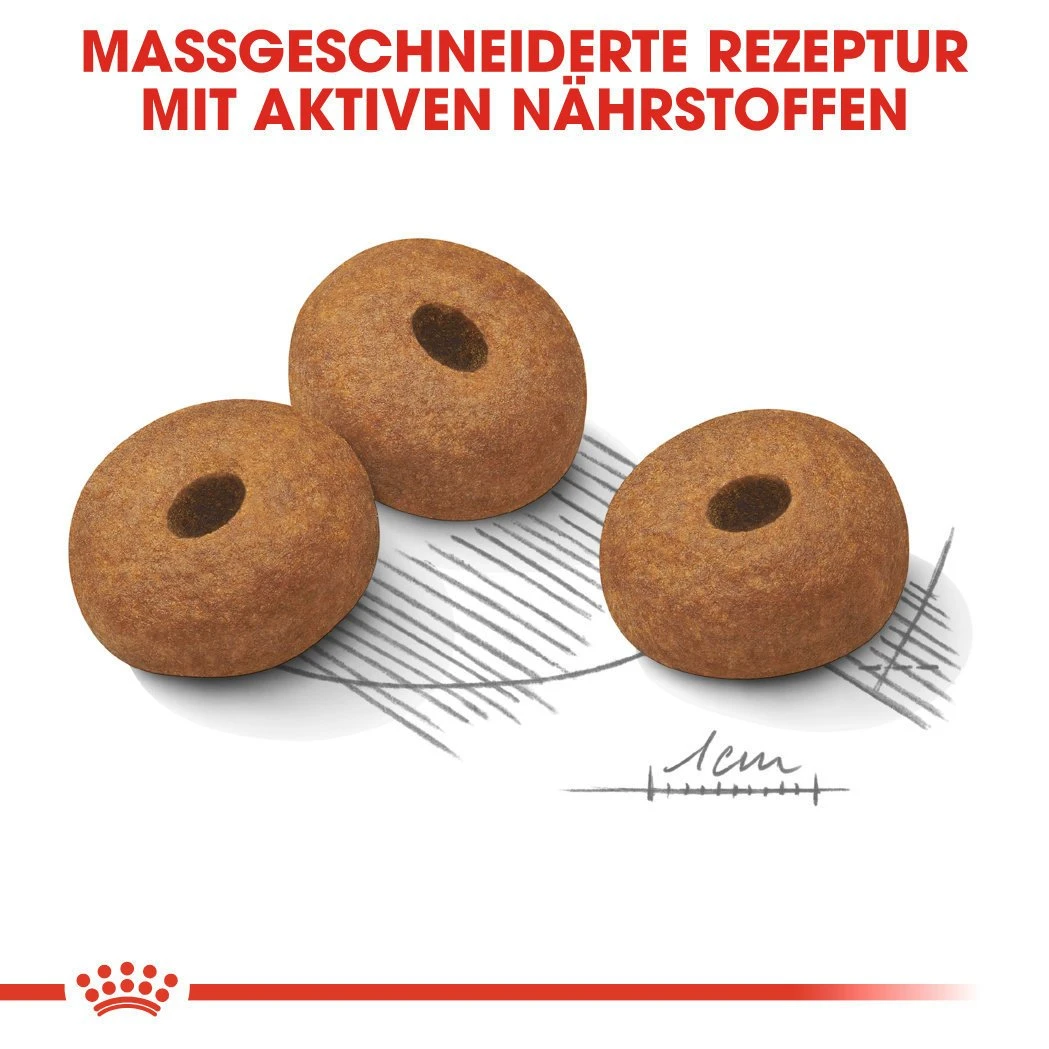 Royal Canin CCN Light Weight Care Maxi Trockenfutter Für Große Hunde Mit Neigung Zu Übergewicht 7 Royal Canin CCN Light Weight Care Maxi Trockenfutter Für Große Hunde Mit Neigung Zu Übergewicht – Bild 5
