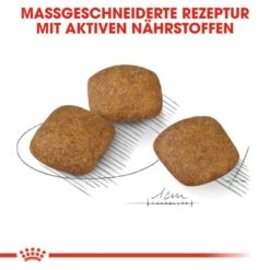 Royal Canin CCN Relax Care Medium Trockenfutter Für Mittelgroße Hunde In Unruhigem Umfeld -Hundefutter Welt Verkaufsgeschäft royal canin ccn relax care medium hundefutter 1560953521