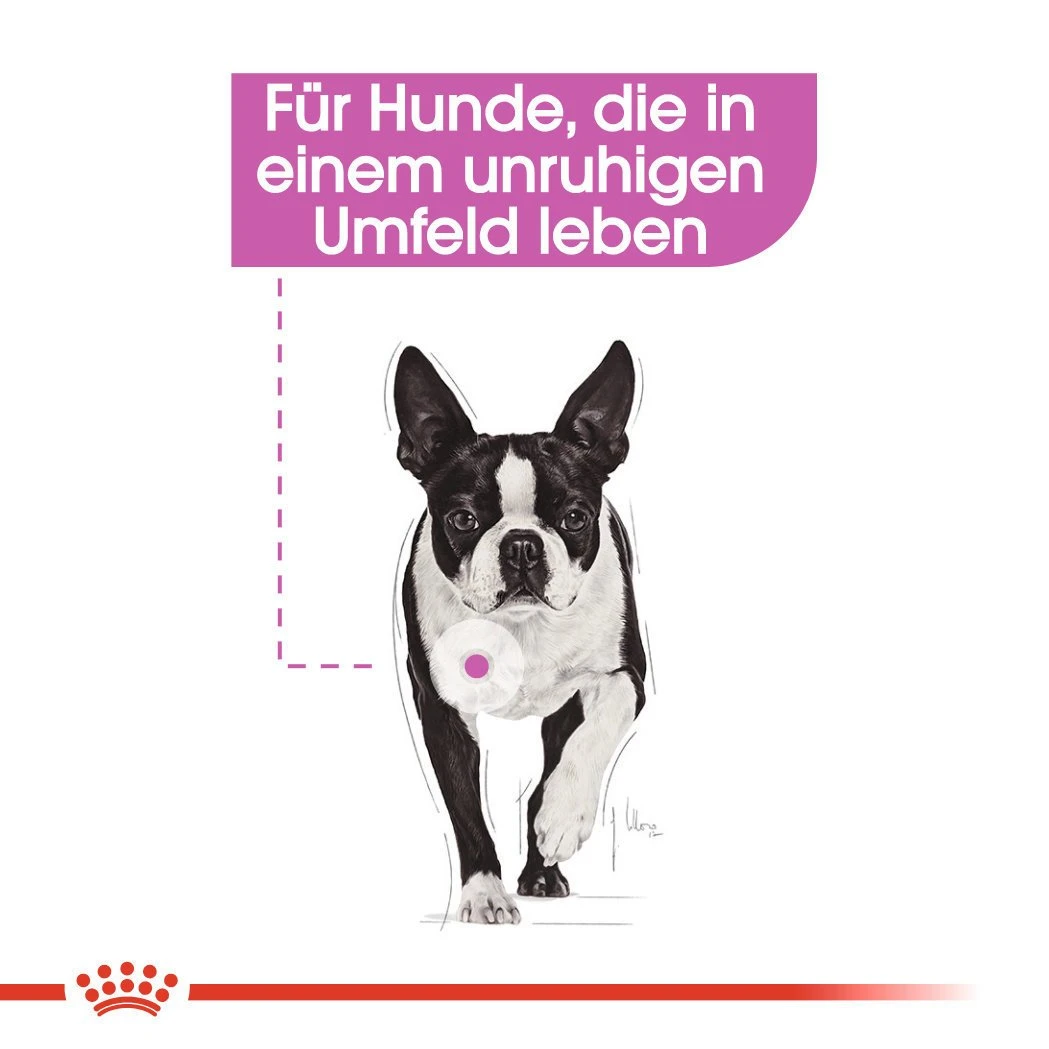 Royal Canin CCN Relax Care Nassfutter Für Hunde In Unruhigem Umfeld 6 Royal Canin CCN Relax Care Nassfutter Für Hunde In Unruhigem Umfeld – Bild 4