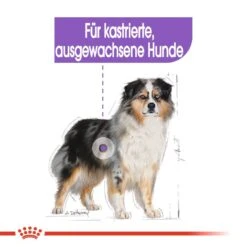 Royal Canin CCN Sterilised Medium Trockenfutter Für Kastrierte Mittelgroße Hunde -Hundefutter Welt Verkaufsgeschäft royal canin ccn sterilised medium hundefutter 1560953768