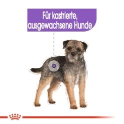Royal Canin CCN Sterilised Nassfutter Für Kastrierte Hunde -Hundefutter Welt Verkaufsgeschäft royal canin ccn sterilised nassfutter fuer hunde 1560953633
