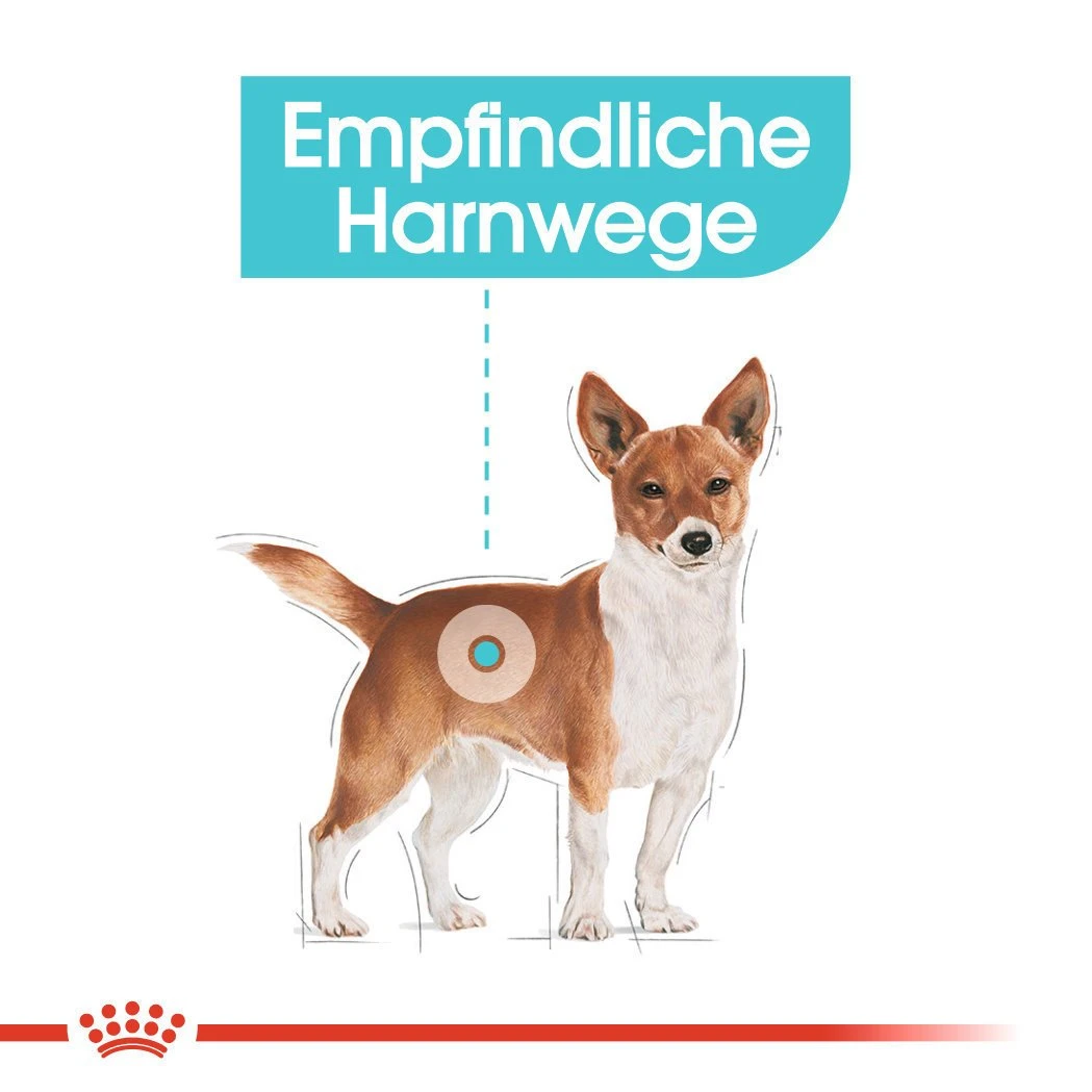 Royal Canin CCN Urinary Care Nassfutter Für Hunde Mit Empfindlichen Harnwegen 7 Royal Canin CCN Urinary Care Nassfutter Für Hunde Mit Empfindlichen Harnwegen – Bild 5