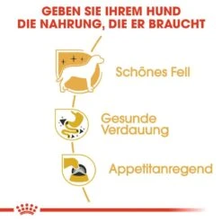 Royal Canin Chihuahua Adult Hundefutter Nass 12 Royal Canin Chihuahua Adult Hundefutter Nass -Hundefutter Welt Verkaufsgeschäft royal canin chihuahua adult hundefutter nass 1565682968