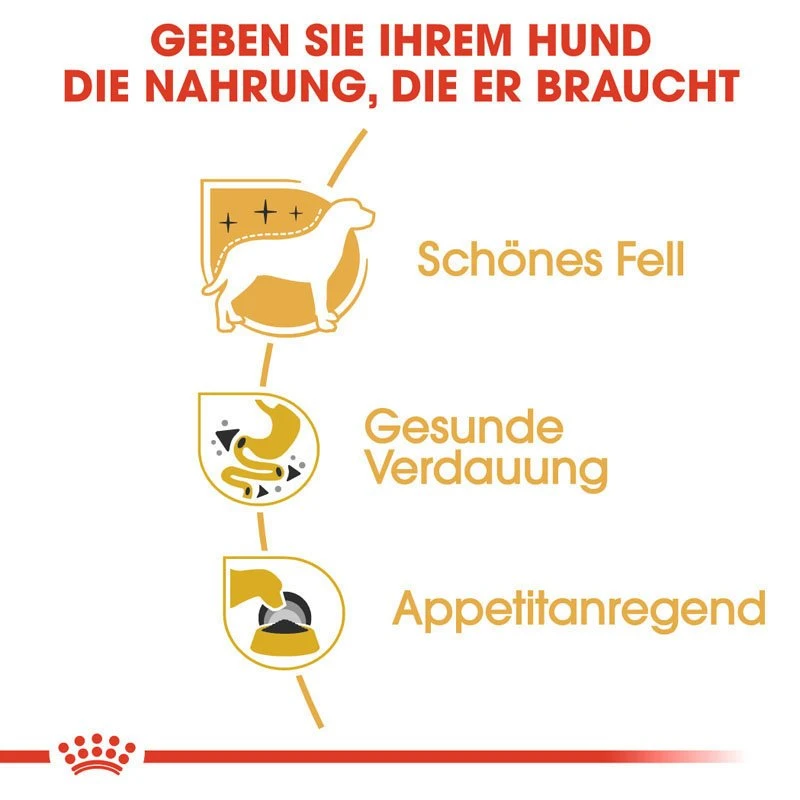 Royal Canin Chihuahua Adult Hundefutter Nass 5 Royal Canin Chihuahua Adult Hundefutter Nass – Bild 3