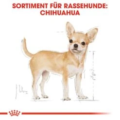 Royal Canin Chihuahua Adult Hundefutter Nass 14 Royal Canin Chihuahua Adult Hundefutter Nass -Hundefutter Welt Verkaufsgeschäft royal canin chihuahua adult hundefutter nass 1565682978