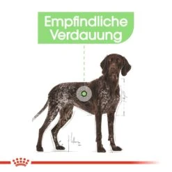 Royal Canin CNN Digestive Care Maxi Trockenfutter -Hundefutter Welt Verkaufsgeschäft royal canin cnn digestive care maxi hundefutter 1560943960