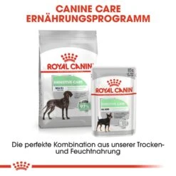 Royal Canin CNN Digestive Care Maxi Trockenfutter -Hundefutter Welt Verkaufsgeschäft royal canin cnn digestive care maxi hundefutter 1560943964