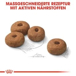 Royal Canin CNN Sterilised Maxi Trockenfutter Für Kastrierte Große Hunde -Hundefutter Welt Verkaufsgeschäft royal canin cnn sterilised maxi hundefutter 1560953706