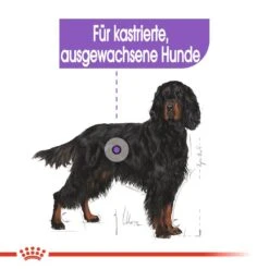Royal Canin CNN Sterilised Maxi Trockenfutter Für Kastrierte Große Hunde -Hundefutter Welt Verkaufsgeschäft royal canin cnn sterilised maxi hundefutter 1560953714