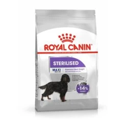 Royal Canin CNN Sterilised Maxi Trockenfutter Für Kastrierte Große Hunde