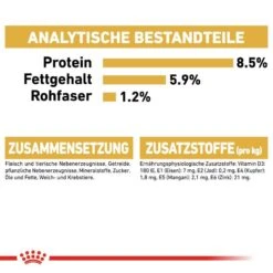Royal Canin Dachshund Adult Hundefutter Nass Für Dackel -Hundefutter Welt Verkaufsgeschäft royal canin dachshund adult hundefutter nass fuer dackel 1565685881