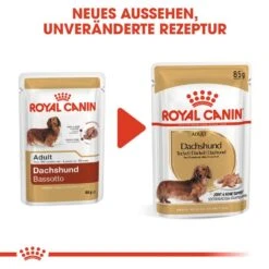 Royal Canin Dachshund Adult Hundefutter Nass Für Dackel -Hundefutter Welt Verkaufsgeschäft royal canin dachshund adult hundefutter nass fuer dackel 1565685883