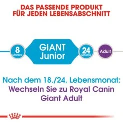 Royal Canin Giant Junior Welpenfutter Trocken Für Sehr Große Hunde -Hundefutter Welt Verkaufsgeschäft royal canin giant junior welpenfutter trocken fuer sehr grosse hunde 1565707324