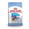 Royal Canin Giant Junior Welpenfutter Trocken Für Sehr Große Hunde 2 Royal Canin Giant Junior Welpenfutter Trocken Für Sehr Große Hunde -Hundefutter Welt Verkaufsgeschäft royal canin giant junior welpenfutter trocken fuer sehr grosse hunde 1565707336
