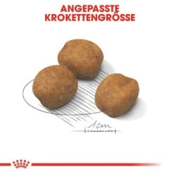 Royal Canin Giant Puppy Welpenfutter 11 Royal Canin Giant Puppy Welpenfutter -Hundefutter Welt Verkaufsgeschäft royal canin giant puppy welpenfutter trocken fuer sehr grosse hunde 1565707478