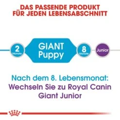 Royal Canin Giant Puppy Welpenfutter 12 Royal Canin Giant Puppy Welpenfutter -Hundefutter Welt Verkaufsgeschäft royal canin giant puppy welpenfutter trocken fuer sehr grosse hunde 1565707480