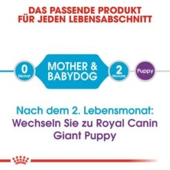 Royal Canin Giant Starter Für Tragende Hündin Und Welpen -Hundefutter Welt Verkaufsgeschäft royal canin giant starter fuer tragende huendin und welpen 1565707811