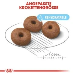 Royal Canin Giant Starter Für Tragende Hündin Und Welpen -Hundefutter Welt Verkaufsgeschäft royal canin giant starter fuer tragende huendin und welpen 1565707815