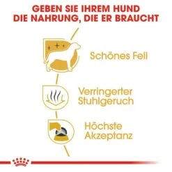 Royal Canin Maltese Adult Hundefutter Trocken -Hundefutter Welt Verkaufsgeschäft royal canin maltese adult hundefutter trocken 1565602402