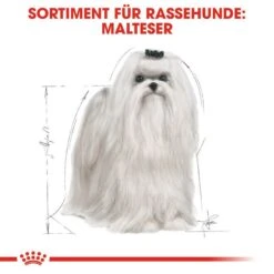 Royal Canin Maltese Adult Hundefutter Trocken -Hundefutter Welt Verkaufsgeschäft royal canin maltese adult hundefutter trocken 1565602406