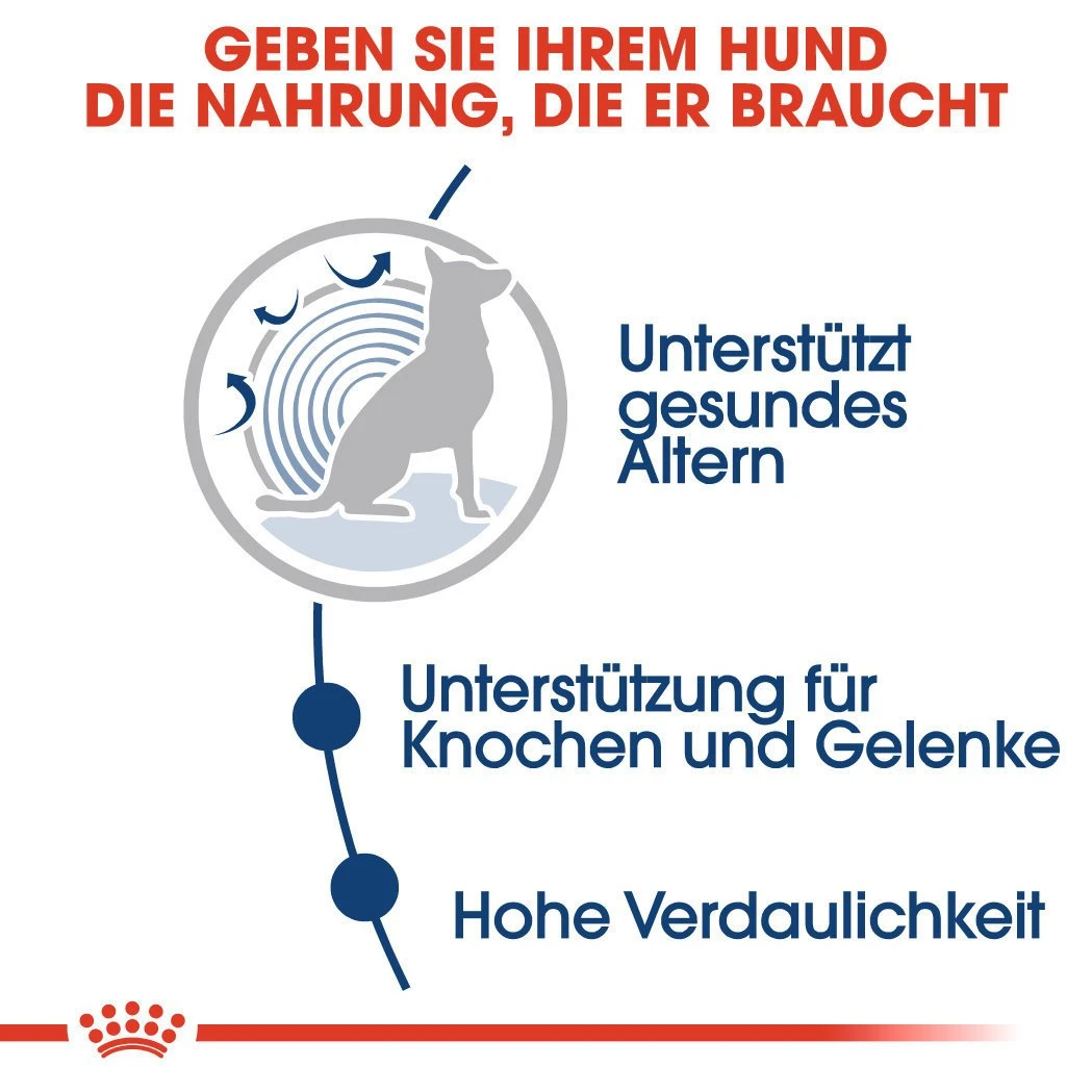 Royal Canin Maxi Ageing 8+ Nassfutter Für ältere Große Hunde 5 Royal Canin Maxi Ageing 8+ Nassfutter Für ältere Große Hunde – Bild 3